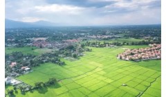 解读2023政府工作报告｜点名政策性农险！看一份保险如何惠“三农”