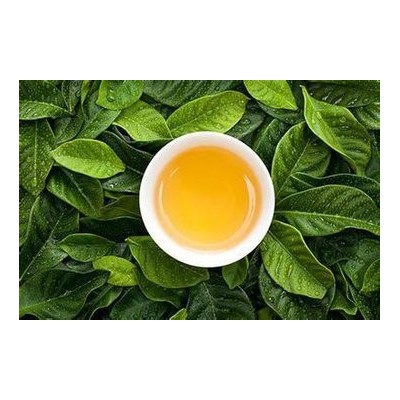 【桑叶茶】 桑叶茶诚邀加盟图2