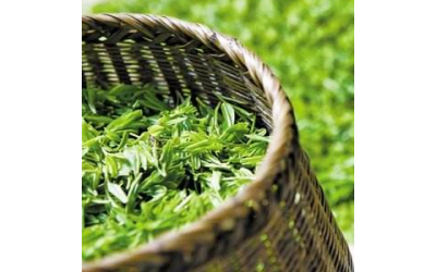 【茗茶】 茗茶诚邀加盟