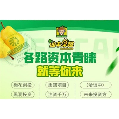 仙丰果趣加盟项目图2