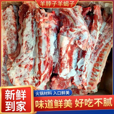 带肉羊脖骨商用炖汤火锅食材现货批发冷冻羊脖骨火锅材料