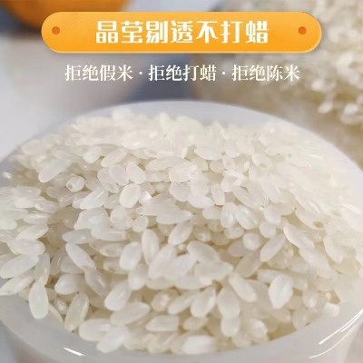 新米小袋真空包装10斤包邮东北特产五常长粒香米现磨现发大米批发图4