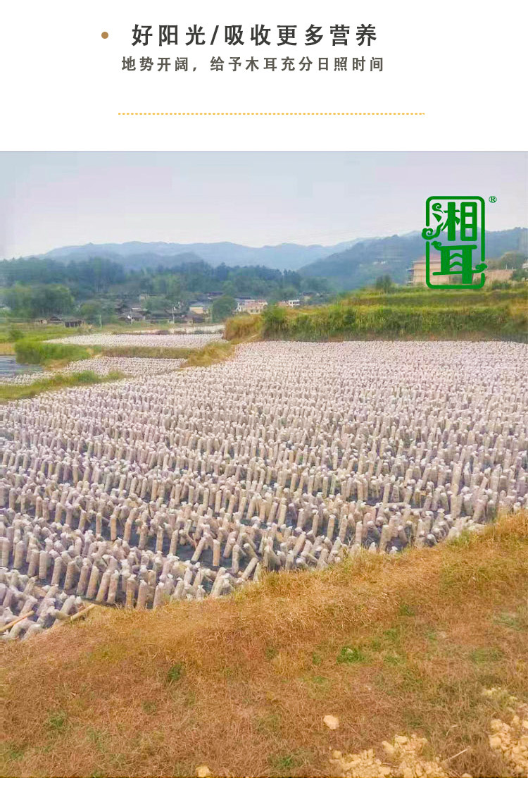 详情_04.jpg