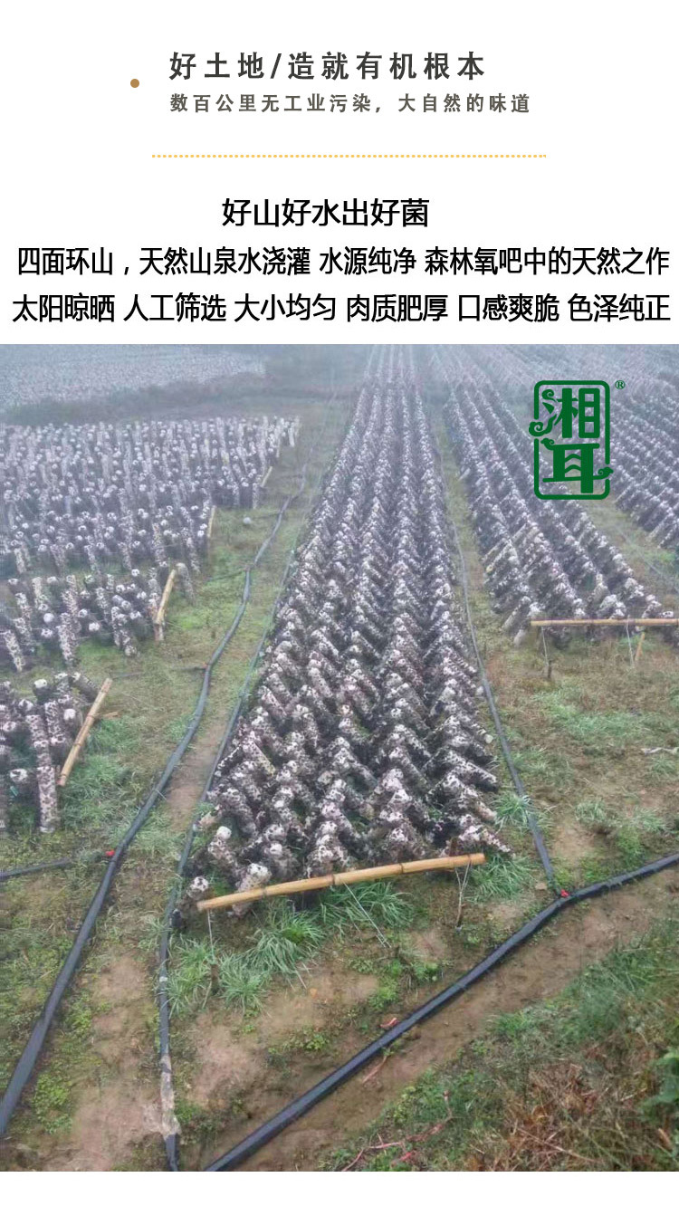 详情_03.jpg