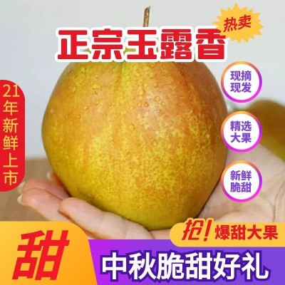 【一件代发】山西隰县玉露香梨礼盒装应季水果批发比库尔勒精品脆图3