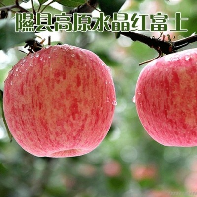 【一件代发】陕西延安苹果75以上通货整箱10斤装平果应季脆红富士图3