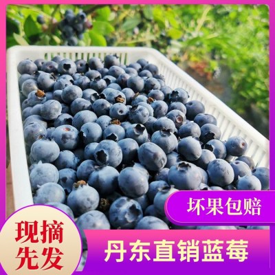 丹东99草莓新鲜应季水果奶油大果东港红颜牛奶草莓顺丰包邮大草莓
