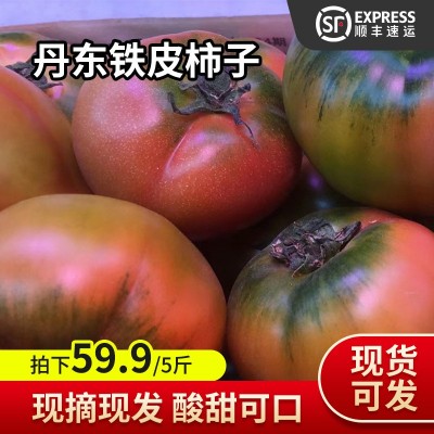 丹东铁皮柿子 新鲜采摘东北特产水果番茄 绿腚生吃草莓西红柿