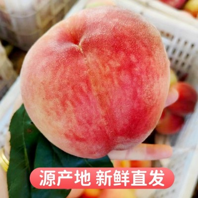 丹东河口艳红桃子新鲜当季水果脆甜孕妇水蜜桃顺丰五斤一件包邮图2