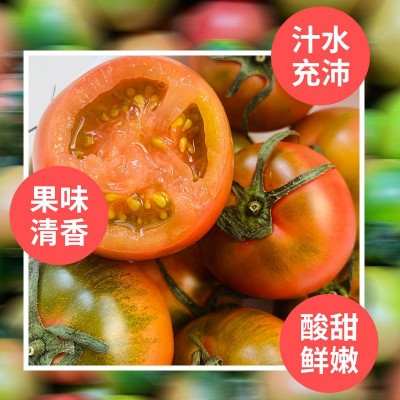 丹东铁皮柿子5斤新鲜采摘东北特产水果脆甜柿子当季水果顺丰包邮图3