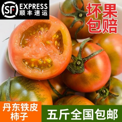 丹东铁皮柿子5斤新鲜采摘东北特产水果脆甜柿子当季水果顺丰包邮