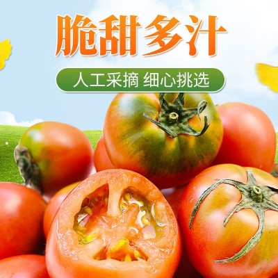 丹东铁皮柿子5斤新鲜采摘东北特产水果脆甜柿子当季水果顺丰包邮图2