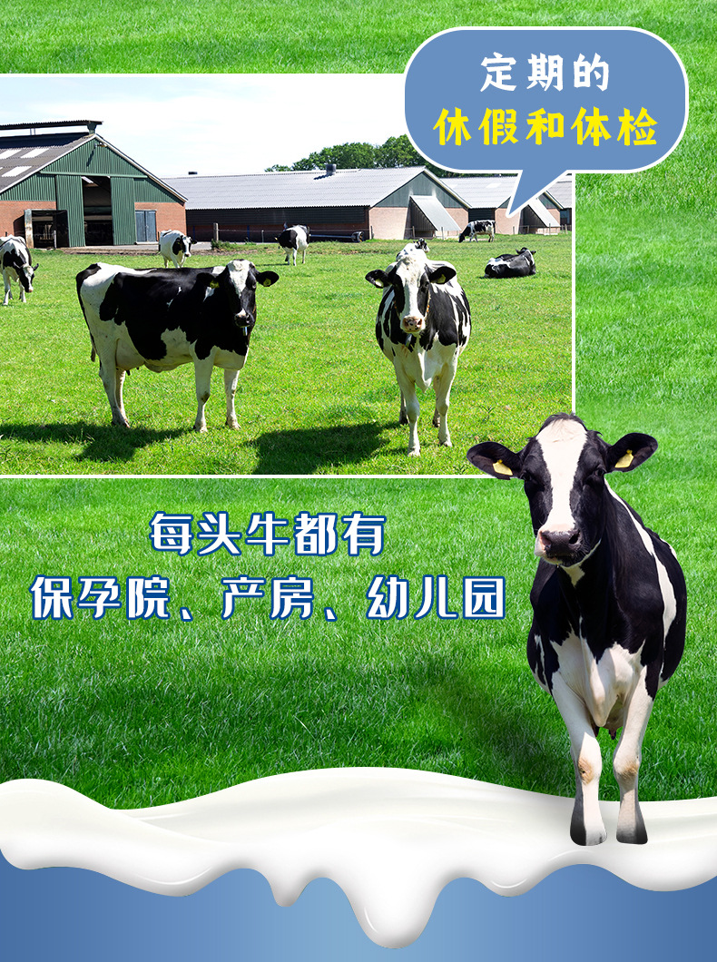 千初高原纯牛奶_04.jpg