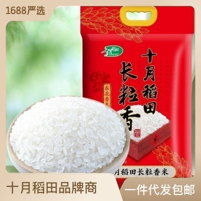 十月稻田 长粒香米东北大米香米粳米米饭煮粥5kg10斤