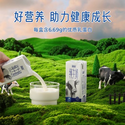 来思尔大理全脂纯牛奶206g*20盒装整箱批发学生儿童早晚餐纯奶图3