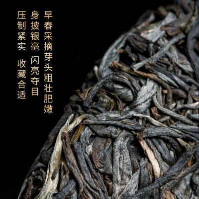 云南2021年茶叶版纳王子山曼松普洱茶生茶357克饼茶批发厂家图2