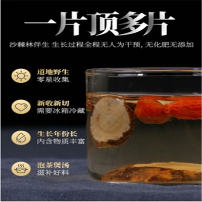 黄芪大片500g克甘肃100g黄氏黄茋当归党参北芪图5