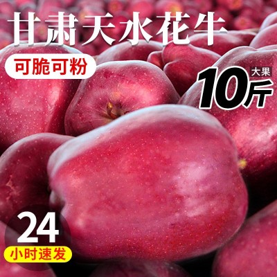 甘肃天水花牛苹果10斤新鲜水果整箱包邮糖心当季红蛇粉面平果丑果图3