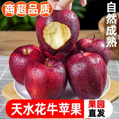 甘肃天水花牛苹果10斤新鲜水果整箱包邮糖心当季红蛇粉面平果丑果