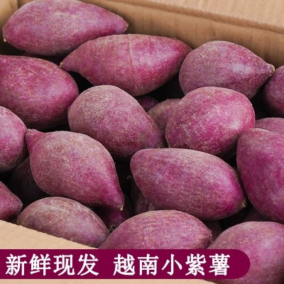 越南品种小紫薯新鲜现挖红薯5斤地瓜农家番薯板栗薯正宗珍珠紫薯