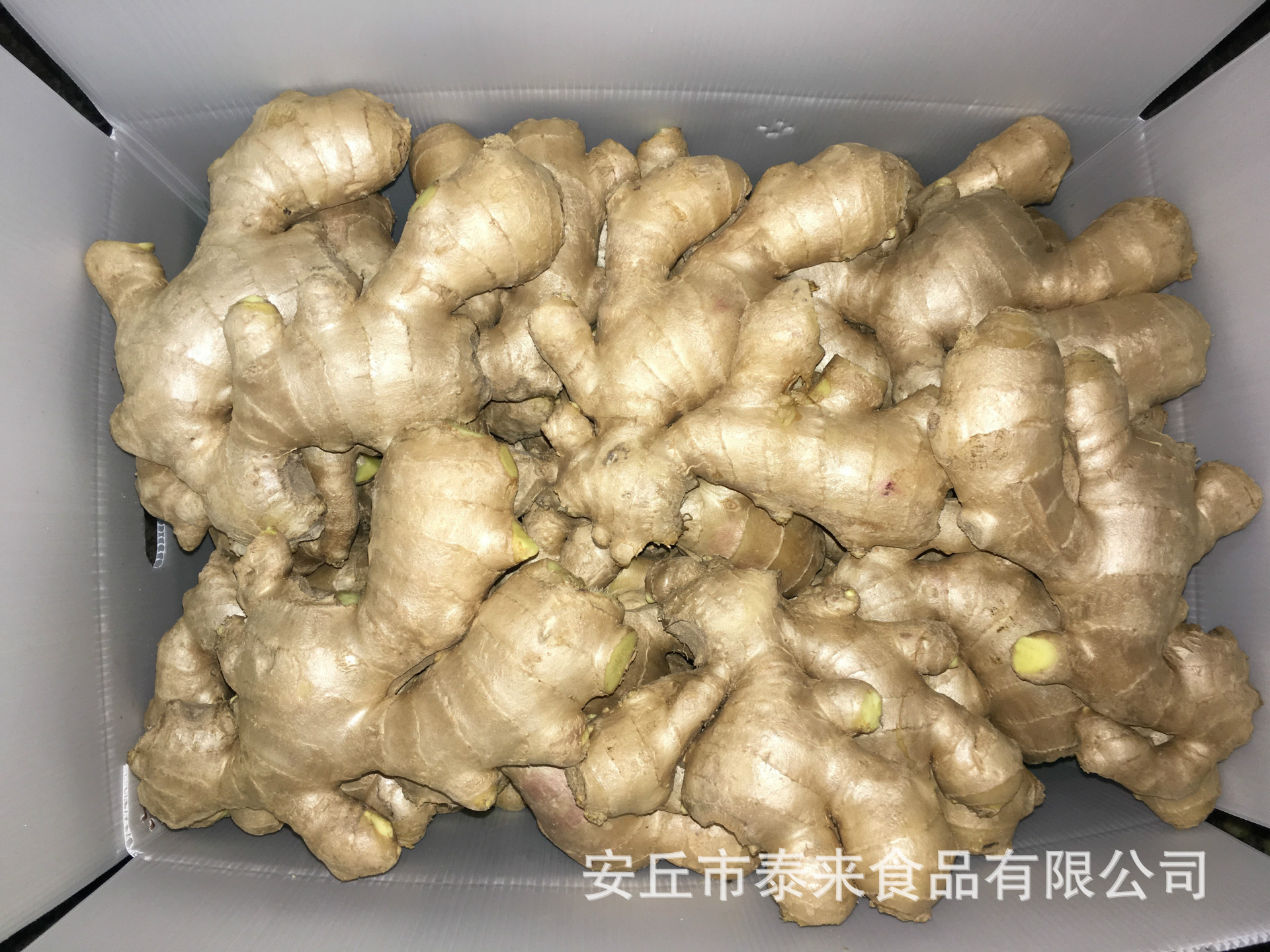泰来食品生姜加工