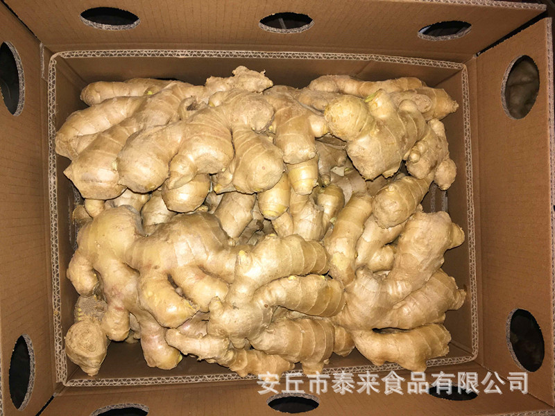 泰来食品生姜加工