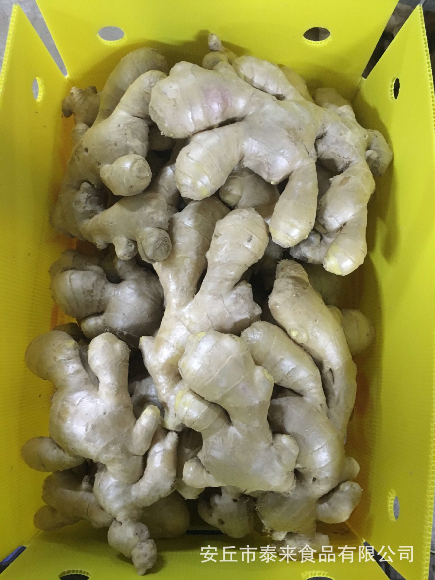 泰来食品生姜加工