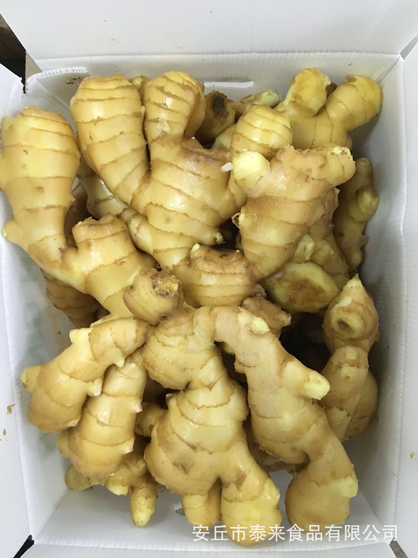 泰来食品生姜加工