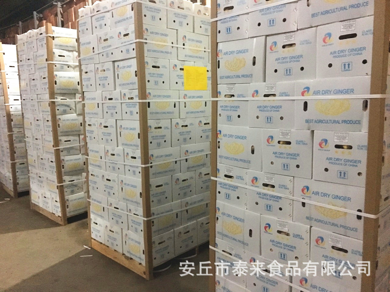 泰来食品生姜加工