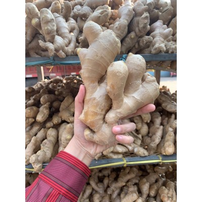安丘生姜保鲜姜风干姜图2