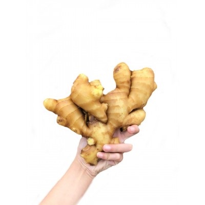 安丘生姜保鲜姜风干姜图3