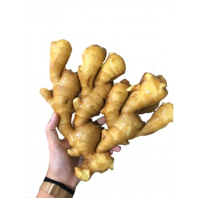 安丘生姜保鲜姜风干姜图4
