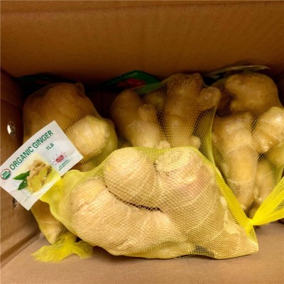 山东大姜新鲜生姜老姜月子专用姜生姜批发新鲜大姜现挖现卖