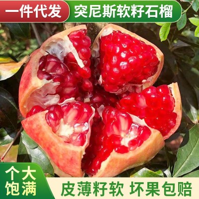 现货批发四川会理突尼斯软籽石榴大果应季新鲜孕妇水果红心甜石榴