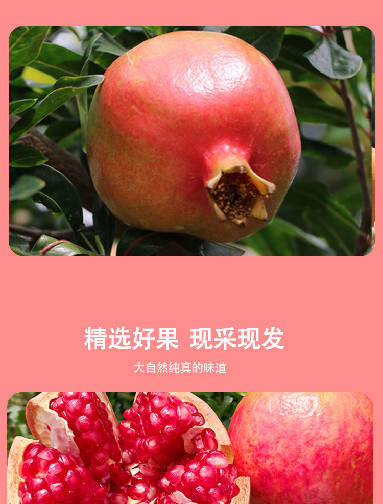 详情页_05.jpg