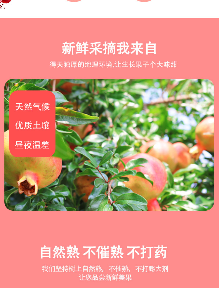 详情页_04.jpg