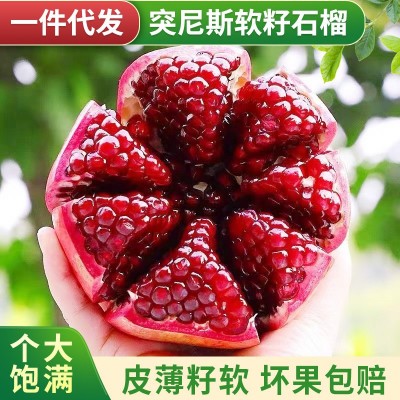 批发突尼斯红石榴大果当季送礼新鲜水果四川云南会理软籽石榴