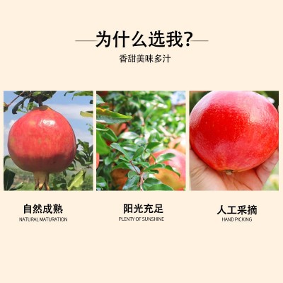 一件代发新鲜水果石榴礼盒装四川大凉山云南会理突尼斯软籽石榴图3