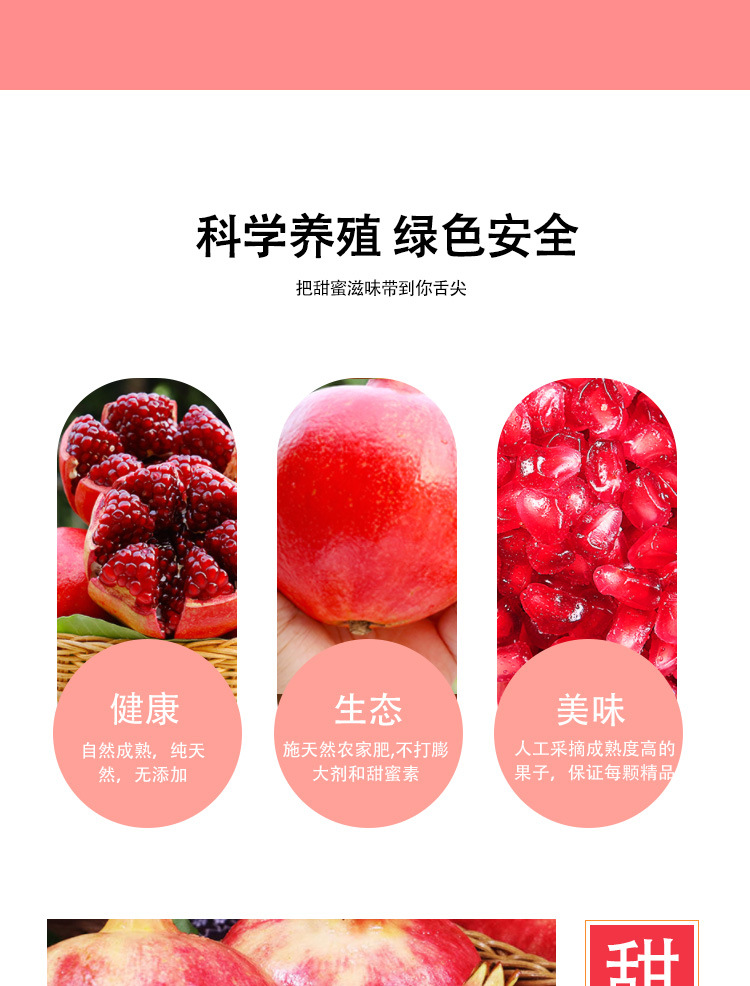 详情页_07.jpg