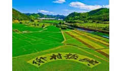 政策“三连发”！山西绘就“三农”工作路线图