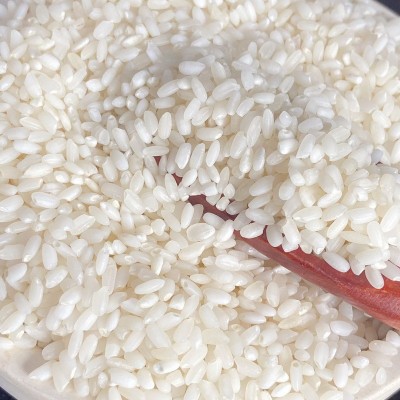 当季新米笑弯腰罗河南粳9108大规格25KG50斤大规格独立包装团购礼图3