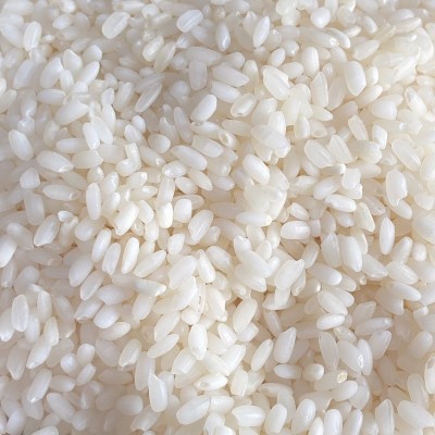 当季新米笑弯腰罗河南粳9108大规格25KG50斤大规格独立包装团购礼图4
