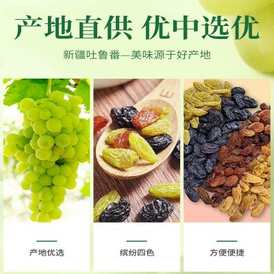 新货四色葡萄干新疆特产非特级超大免洗提子干黑加仑商用零食批发图2
