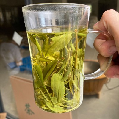 茶农大叔 凤型白茶 毛峰 2022新茶 春茶散装批发 高山绿茶图3