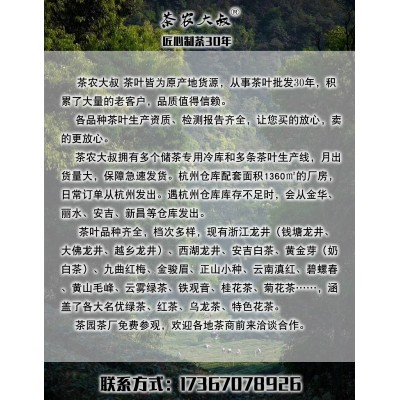 茶农大叔 凤型白茶 毛峰 2022新茶 春茶散装批发 高山绿茶图4