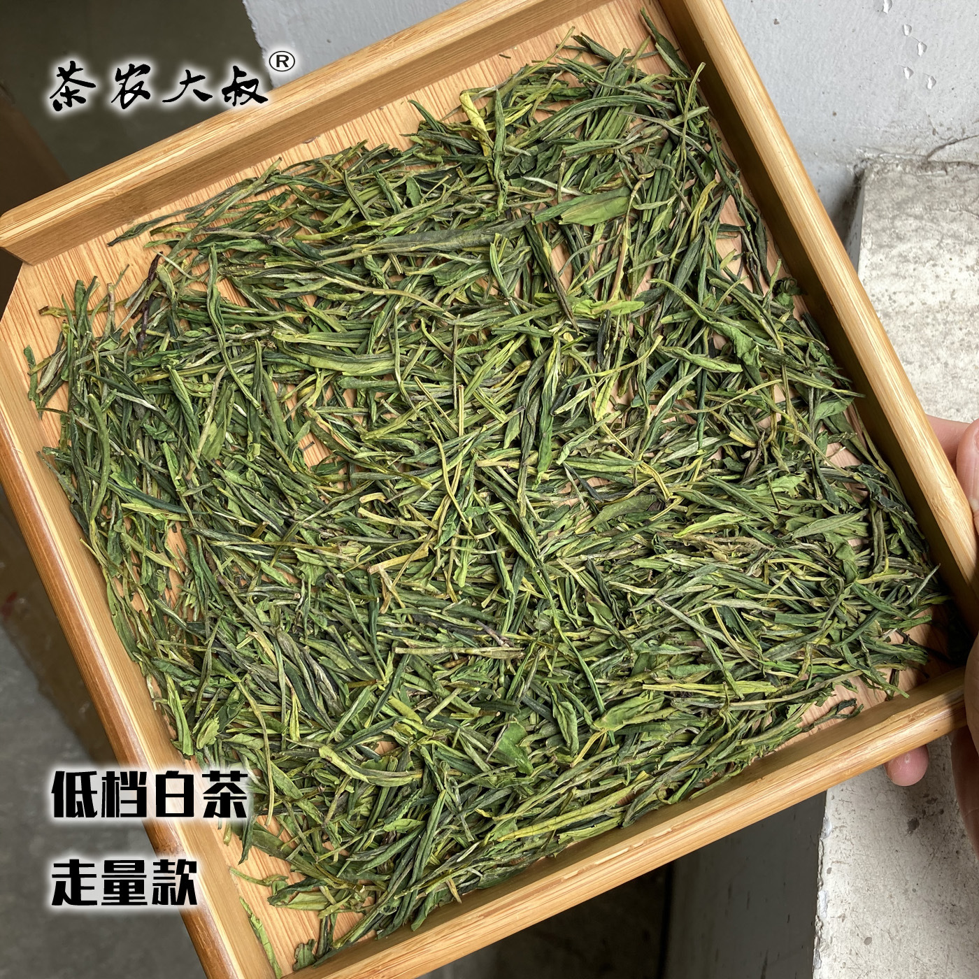 低档白茶主图