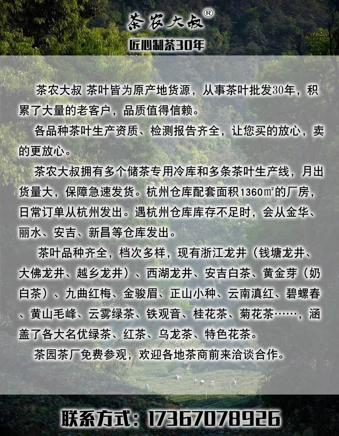 茶农大叔宣传2
