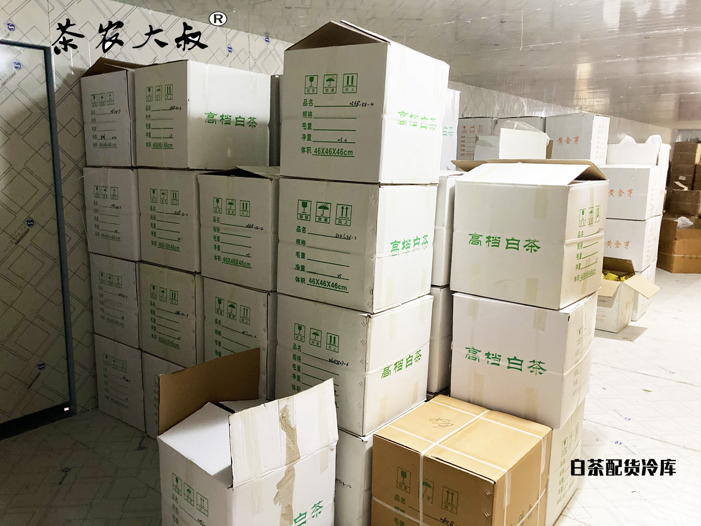 白茶配货冷库