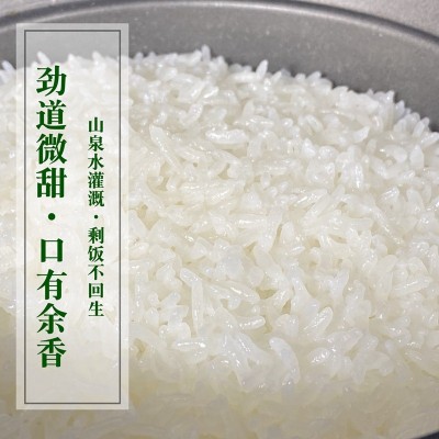 一米距离五常大米稻花香2号5kg10斤真空袋装5斤东北新米厂家批发图3