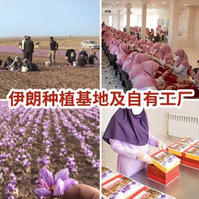 伊朗藏红花批发瓶装西红花礼盒装藏红花一件代发多规格红花图2